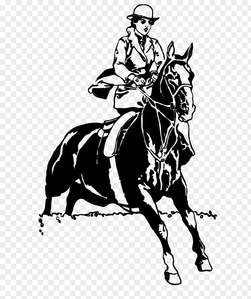 Equitation Working Animal Horse Cartoon PNG