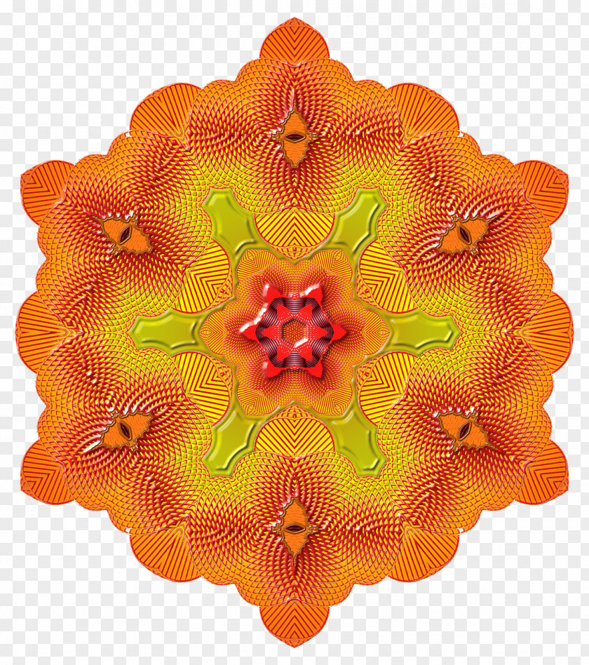 Flower Cut Flowers History Of Mathematics Orange PNG