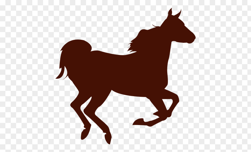 Horse Clip Art PNG