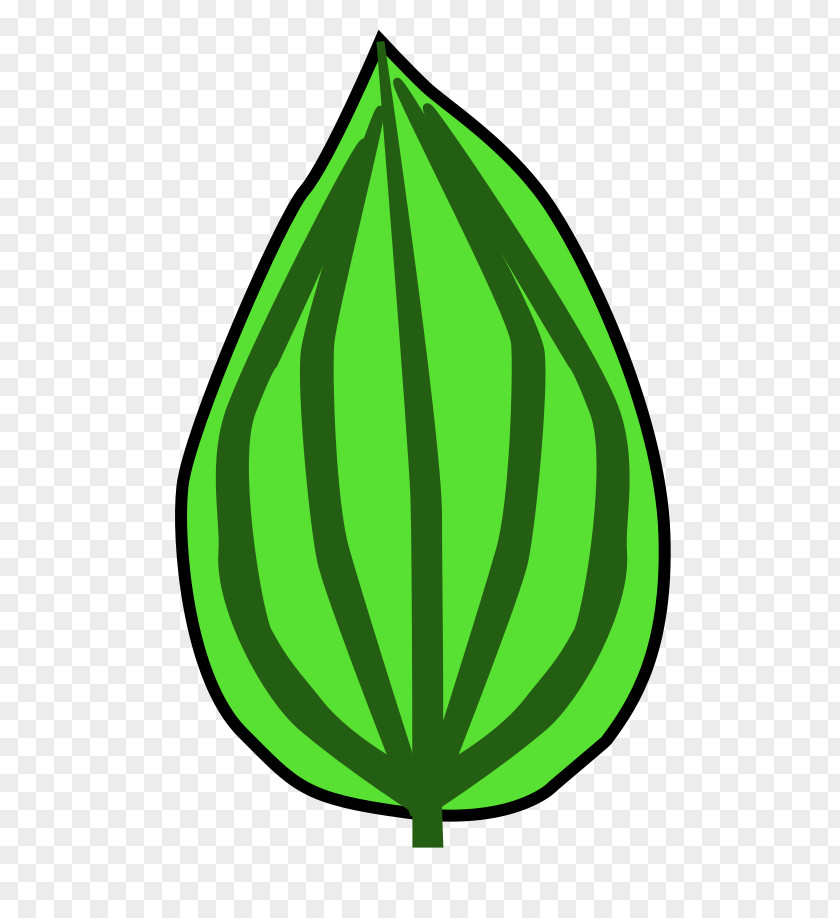 Logo Symbol Green Leaf PNG