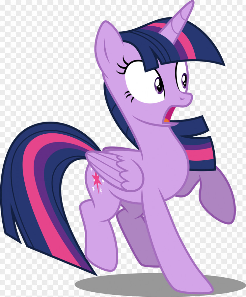 My Little Pony Twilight Sparkle Fluttershy Winged Unicorn PNG