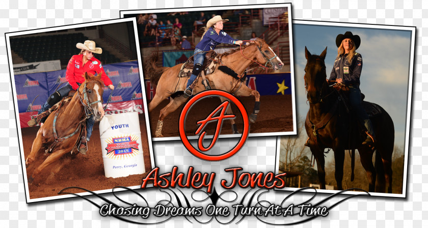 Barrel Racing Stallion Advertising PNG