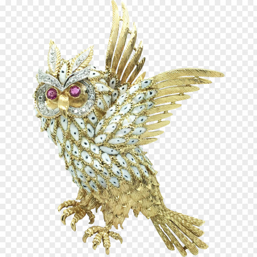 Brooch Bird Owl Jewellery Beak PNG
