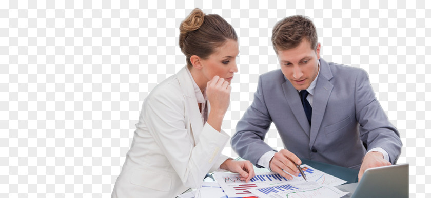 Business Financial Accounting Accountant Finance PNG