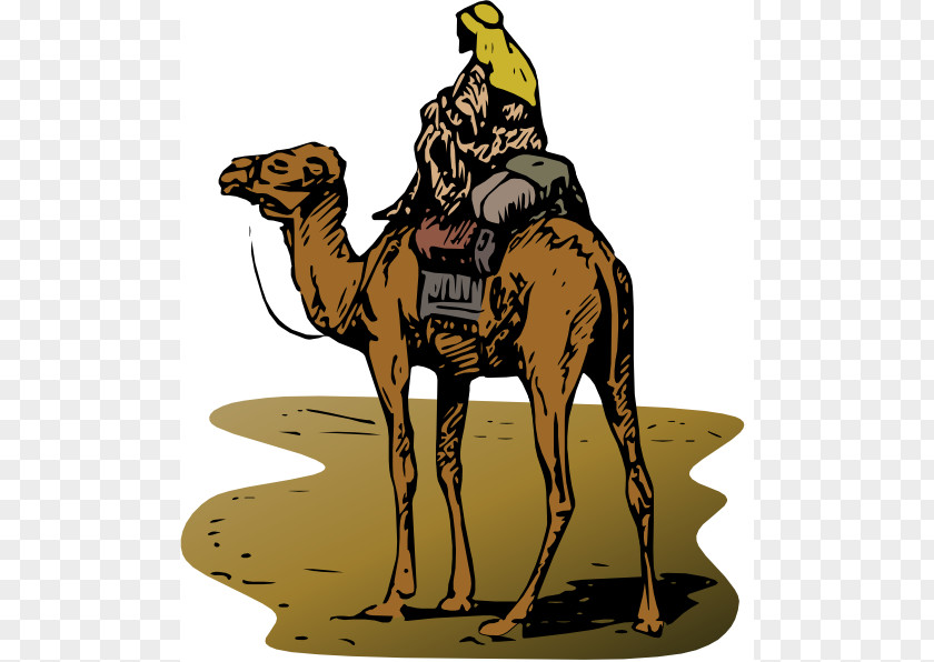 Camel Cliparts Silk Road Online Marketplace Bitcoin Illegal Drug Trade PNG
