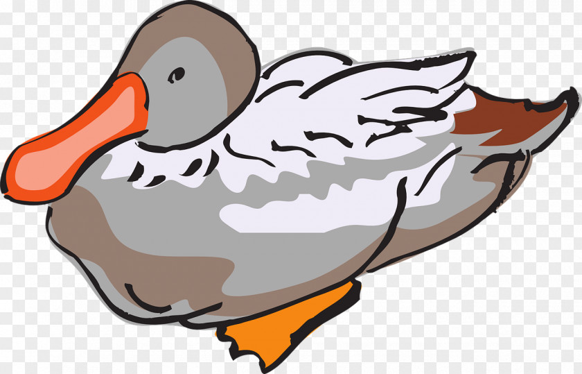 Duck Domestic Bird Goose Clip Art PNG