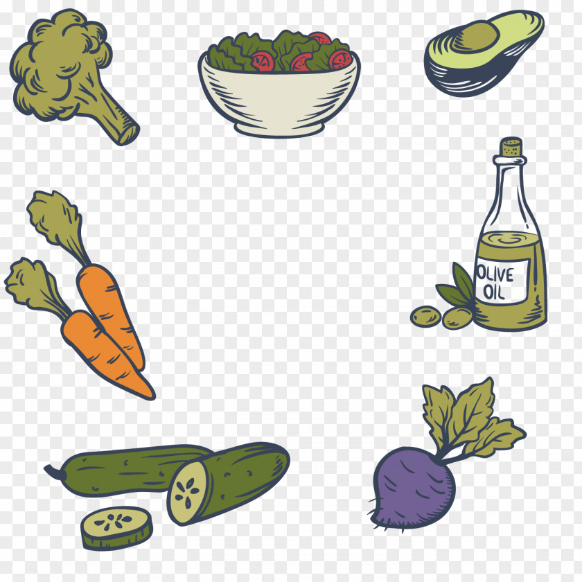 Healthy Vegetables Olive Oil Alimento Saludable Vegetable Food Salad Radish PNG