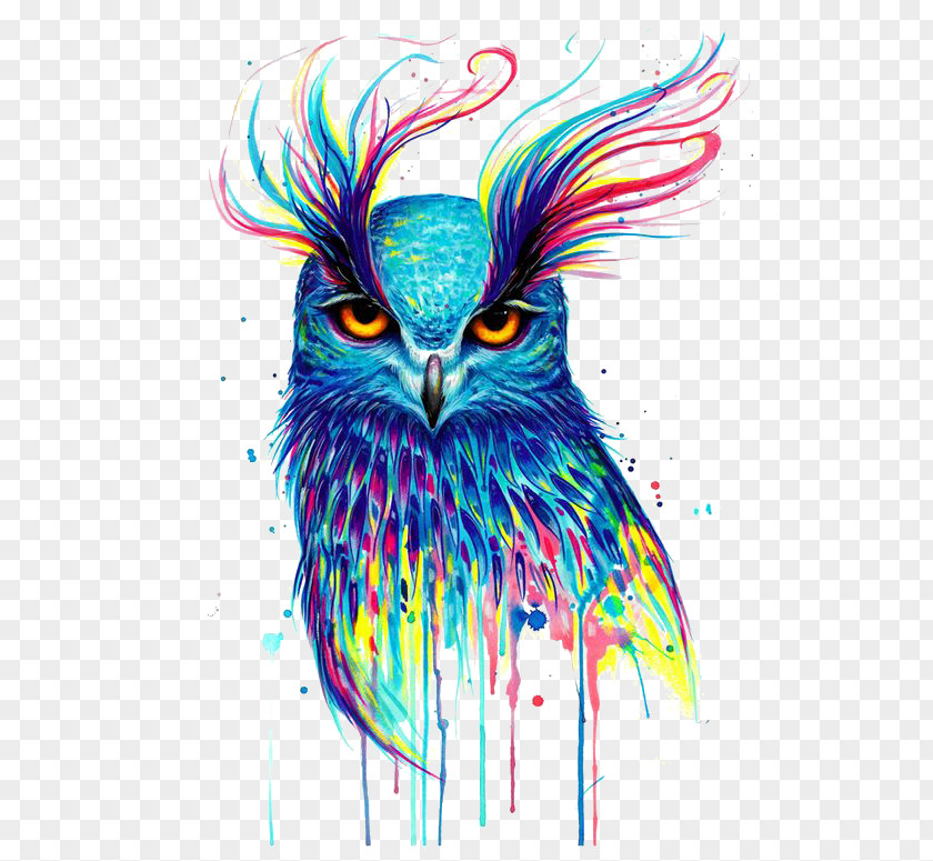 Owl Canvas Print Printing Painting PNG