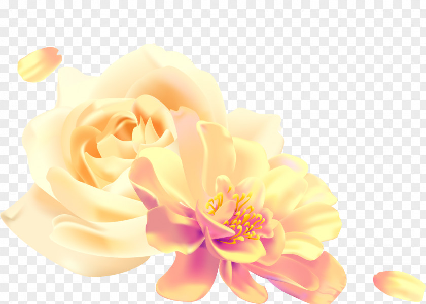 Painting Garden Roses Drawing Watercolor PNG