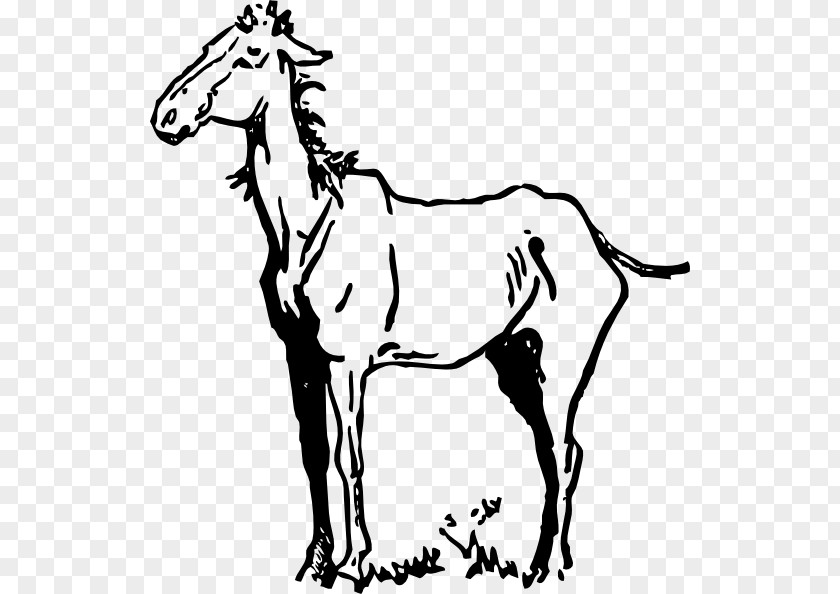 Pony American Quarter Horse Equestrian Clip Art PNG