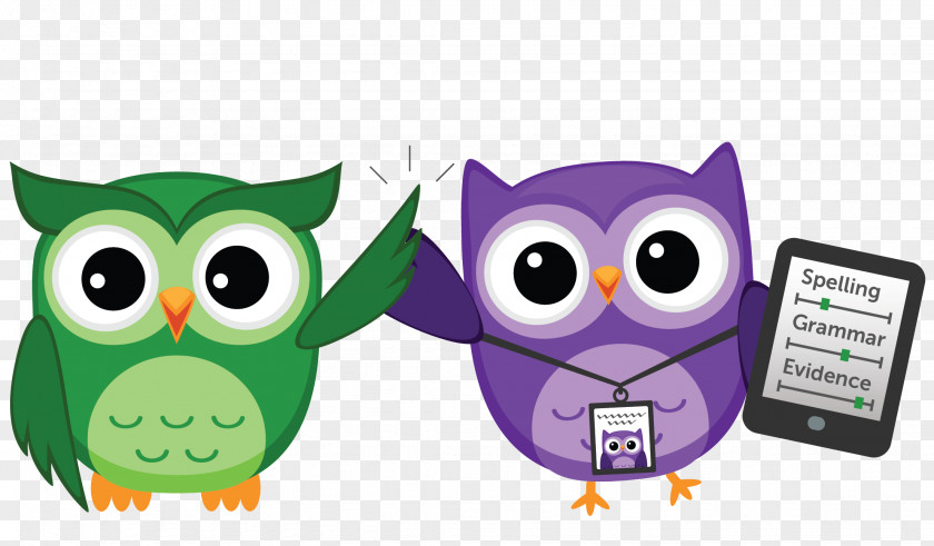 True Owl Clip Art PNG