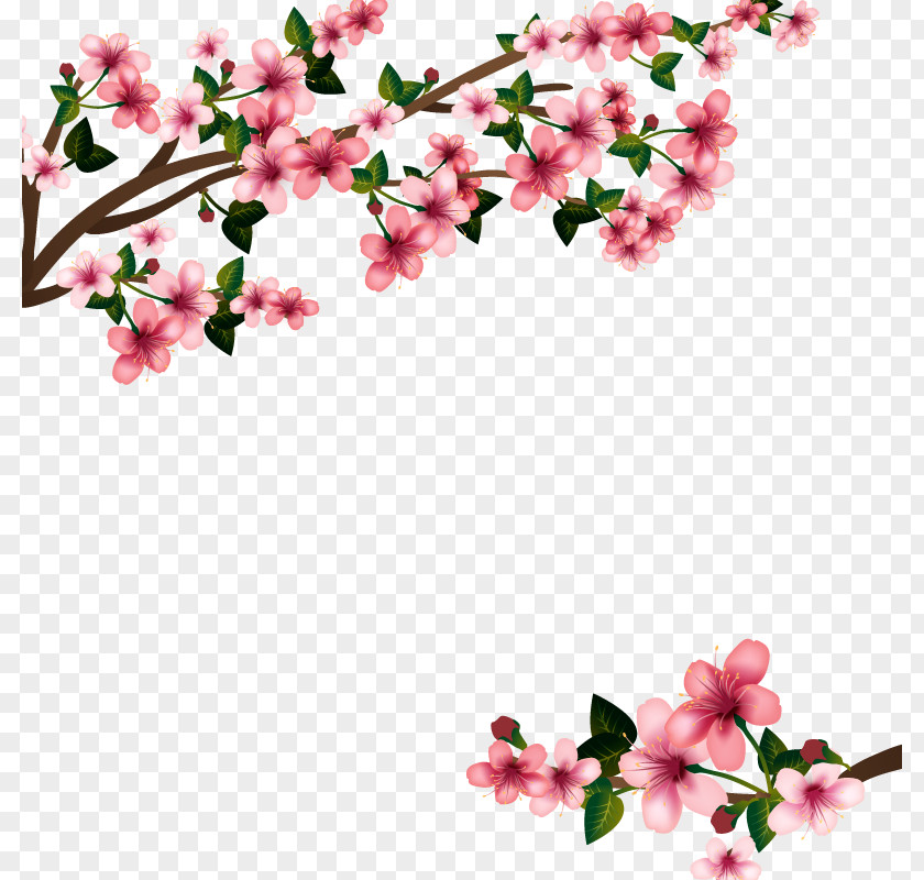 Vector Cherry Blossom Euclidean PNG