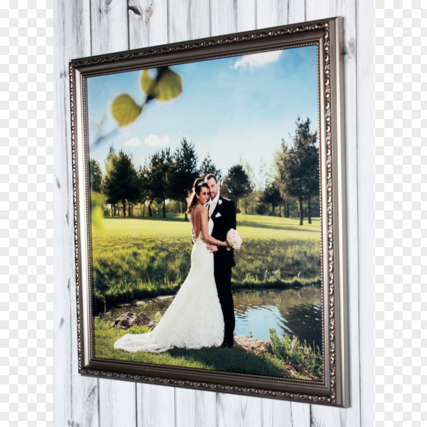 Window Picture Frames Wedding Bride PNG