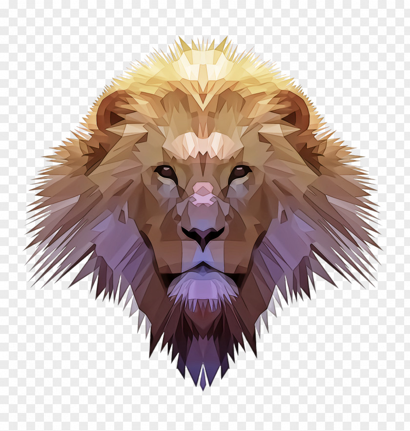 Animation Roar Lion Wildlife Fur Masai PNG