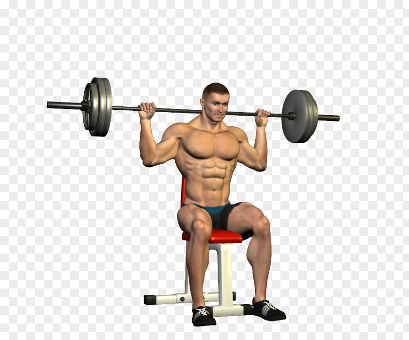 Barbell Overhead Press Exercise Fitness Centre Shoulder PNG