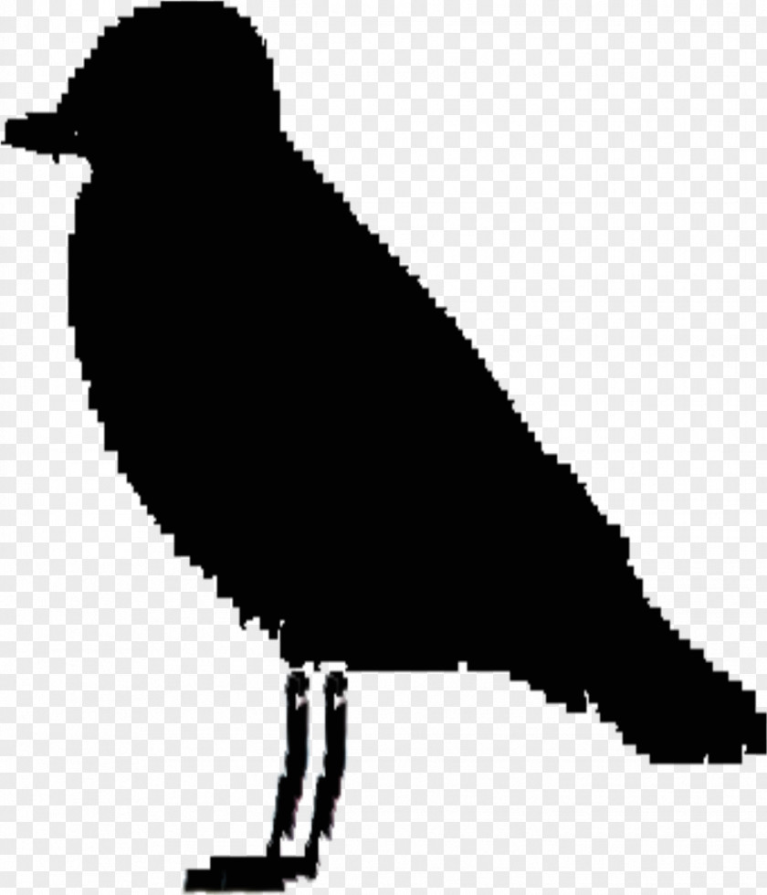 Chicken Silhouette Vector Graphics Clip Art Goose Beak Image PNG
