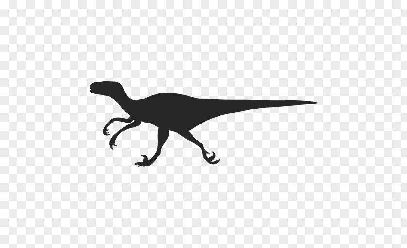 Dinosaur Vector Velociraptor Deinonychus Troodon PNG