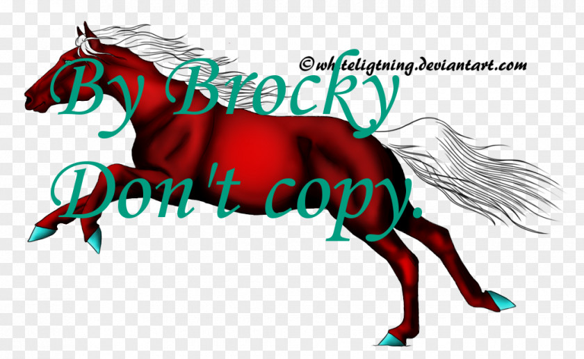 Galloping Horse Howrse Mustang Pony Stallion PNG