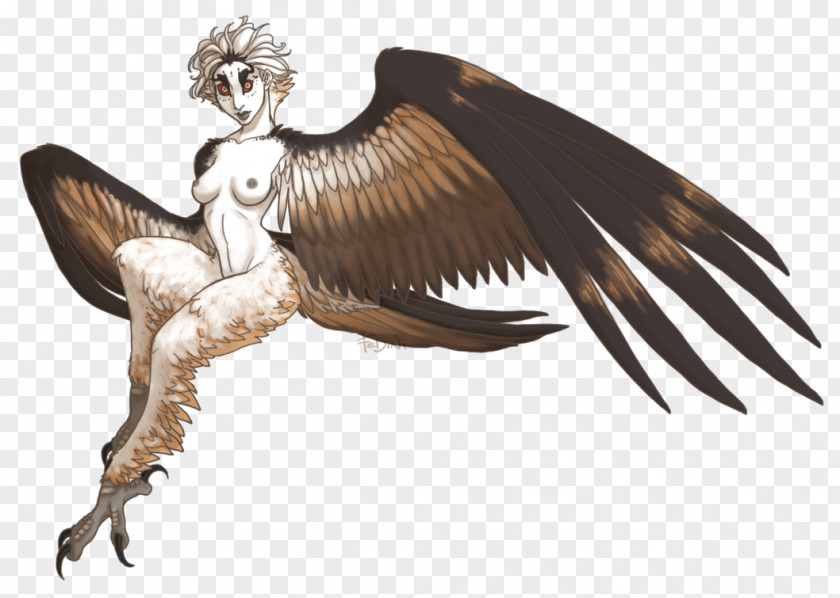 Harpy Eagle Dragon's Dogma Monster Bird PNG