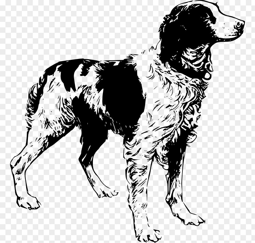 Outline Of A Dog Brittany English Cocker Spaniel Setter Airedale Terrier PNG