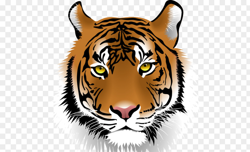 White Tiger Clip Art PNG