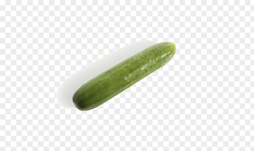 An Autumn Cucumber Pickled Vegetable PNG