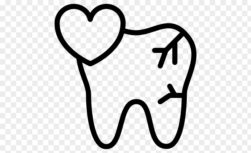 Dental Vector Human Tooth Dentistry Molar PNG