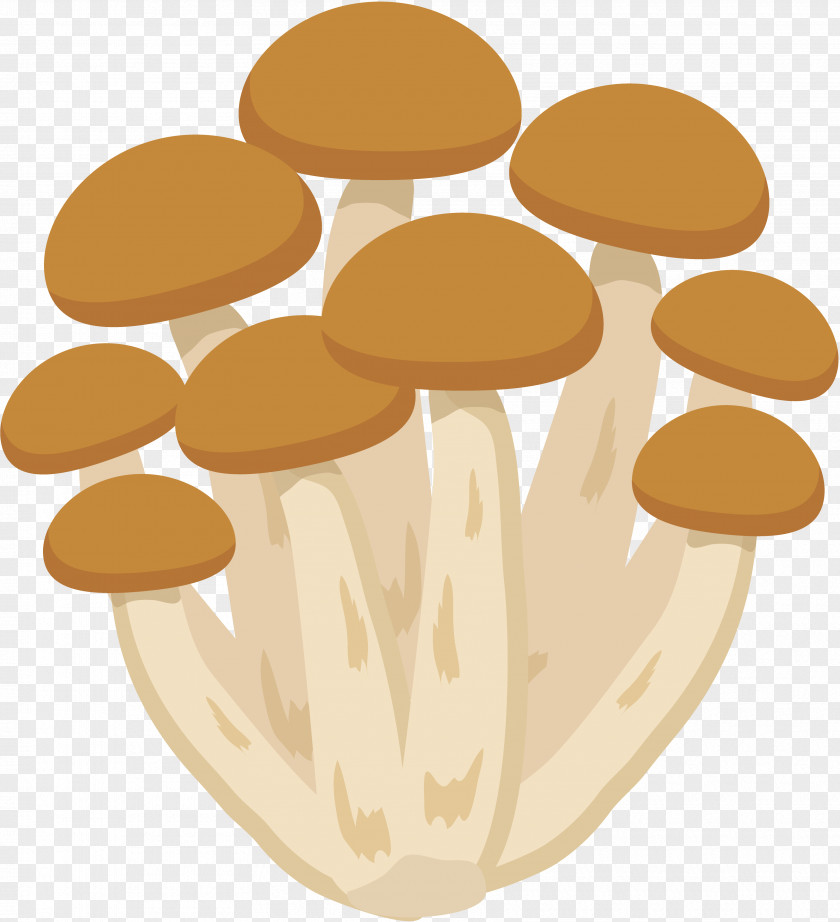 Mushroom Hon-shimeji Food Bento PNG