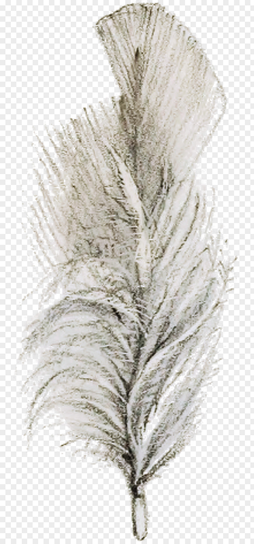 Retro Feather Light Relaxation Technique Massage White PNG
