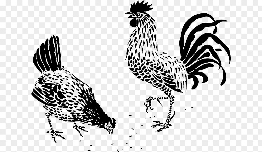 TRIBAL ANIMAL Cochin Chicken Brahma Rooster Drawing Hen PNG