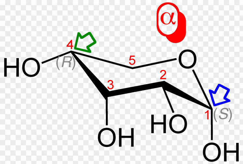 Alphabeta Glycosidic Bond 糖 Alpha-synuclein Carbohydrate Amino Acid PNG