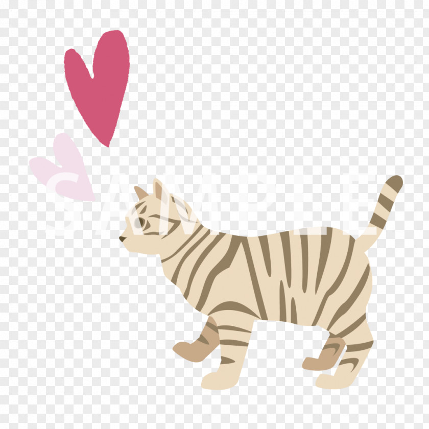 Cat Big Tiger Tail Wildlife PNG