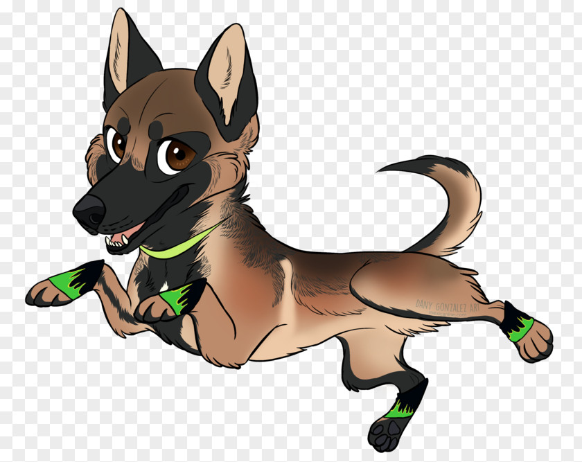 Dog Breed Working Arbeitshund Animal PNG