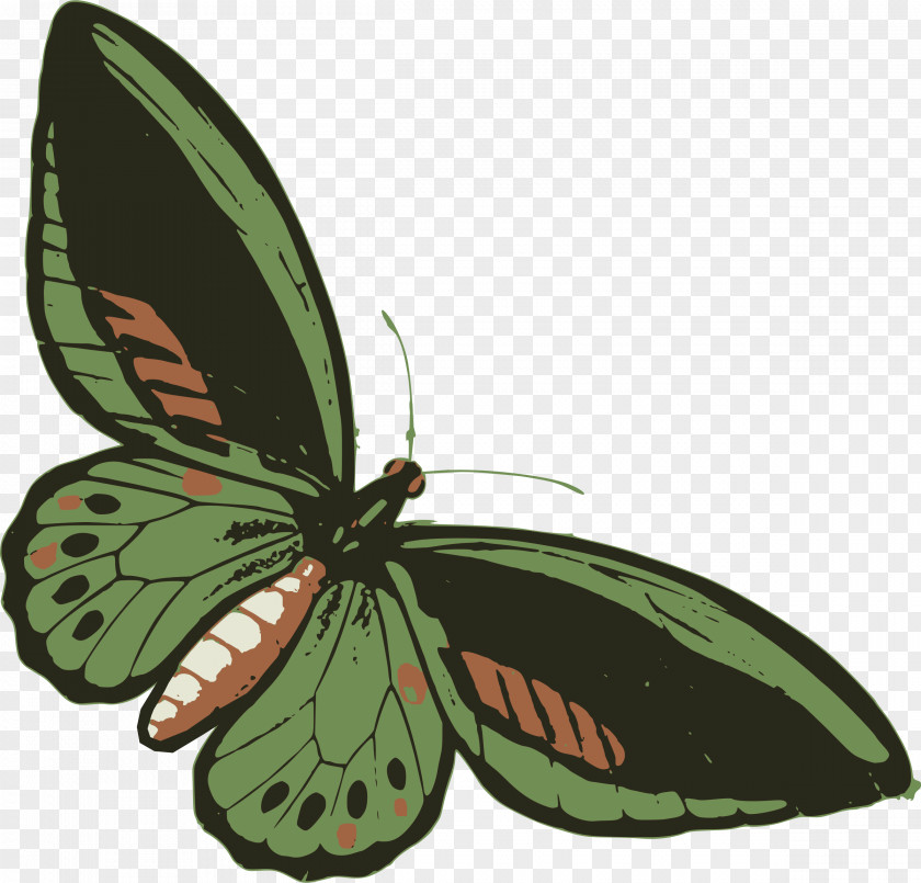 Dragonfly Butterfly Insect Green Drawing Sticker PNG