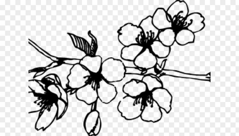 Line Art Petal Flower Leaf Plant Branch Black-and-white PNG
