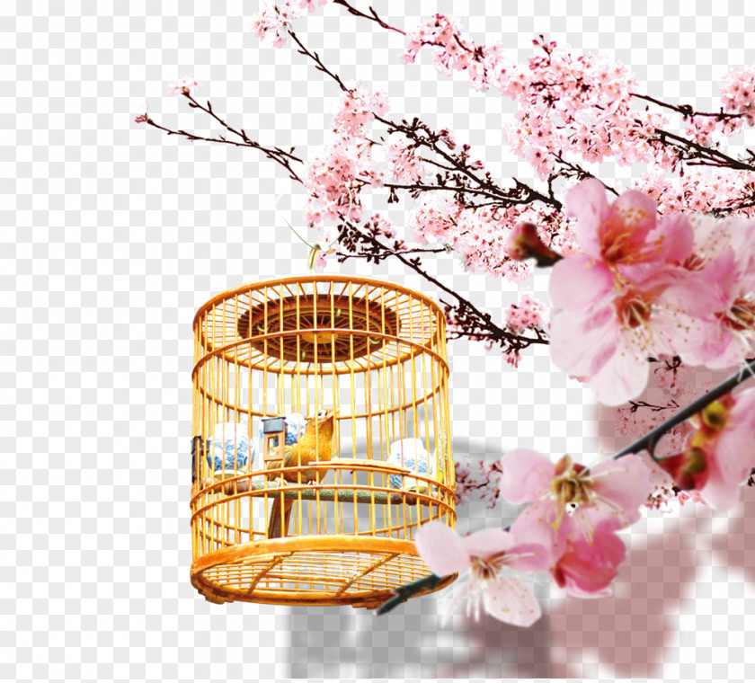 Peach Blossoms Bird Download Cherry Blossom Computer File PNG