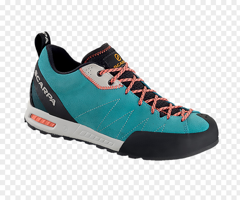 Rock Climbing Store Approach Shoe Hiking Boot Footwear PNG