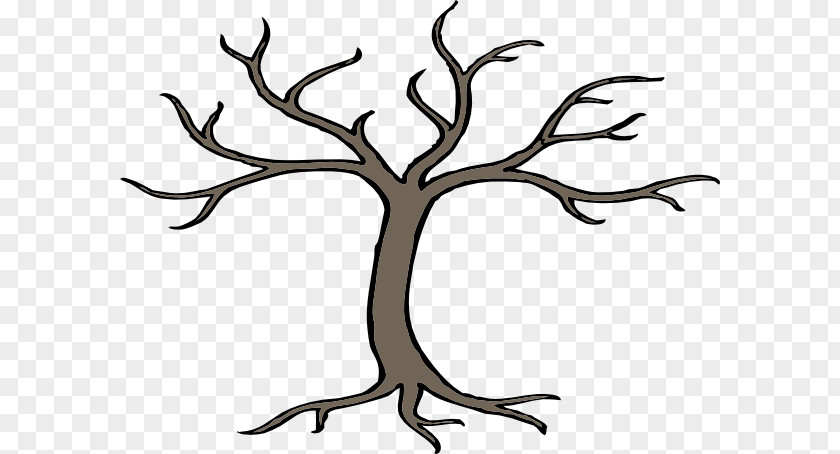 Tree Branch Root Clip Art PNG