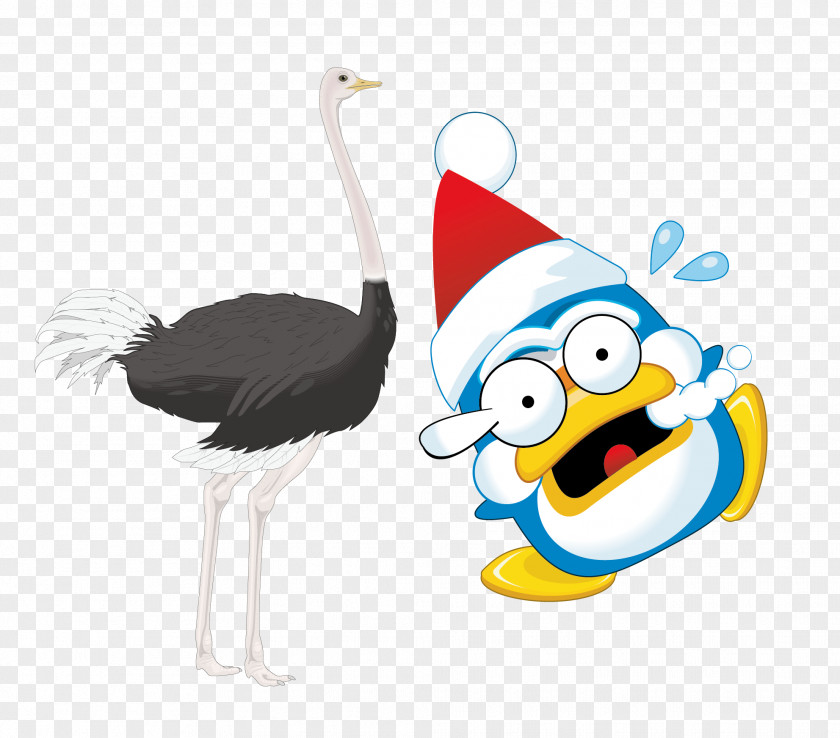 Vector Ostrich Christmas Cartoon Clip Art PNG