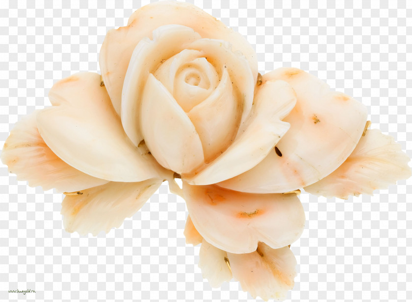 White Rose Paper Garden Roses Flower Michaels Clip Art PNG