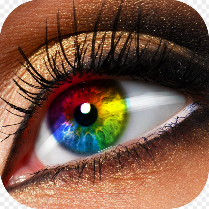 Colorful Eyes Eye Shadow Cosmetics Makeover Color PNG