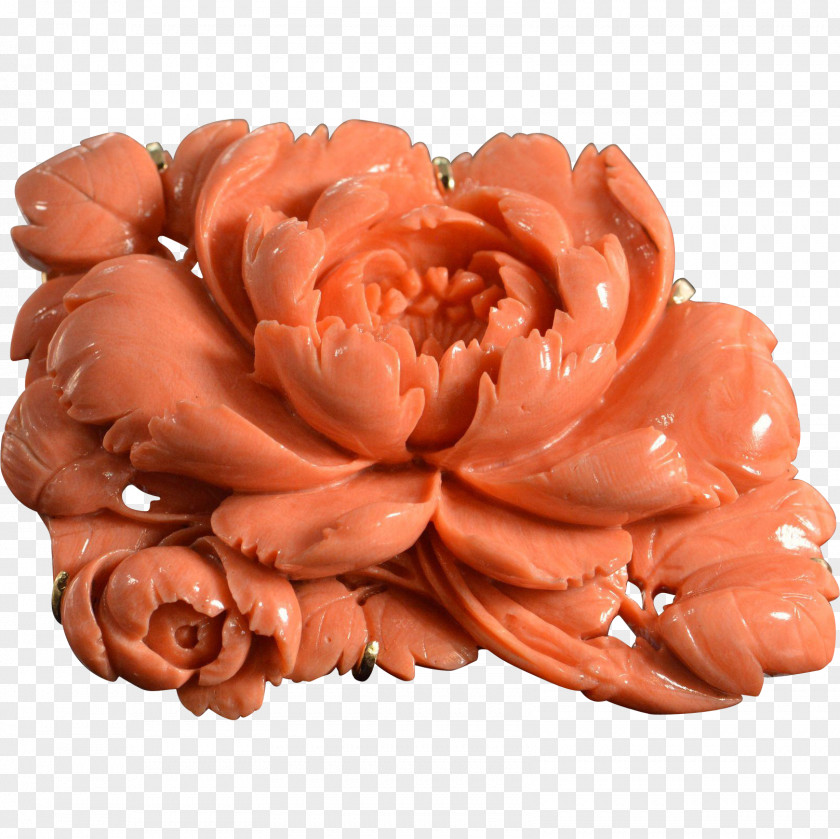 Cut Flowers Orange S.A. PNG