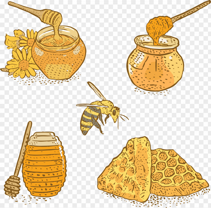 Hand-painted Craft Honey Bee Apis Florea PNG
