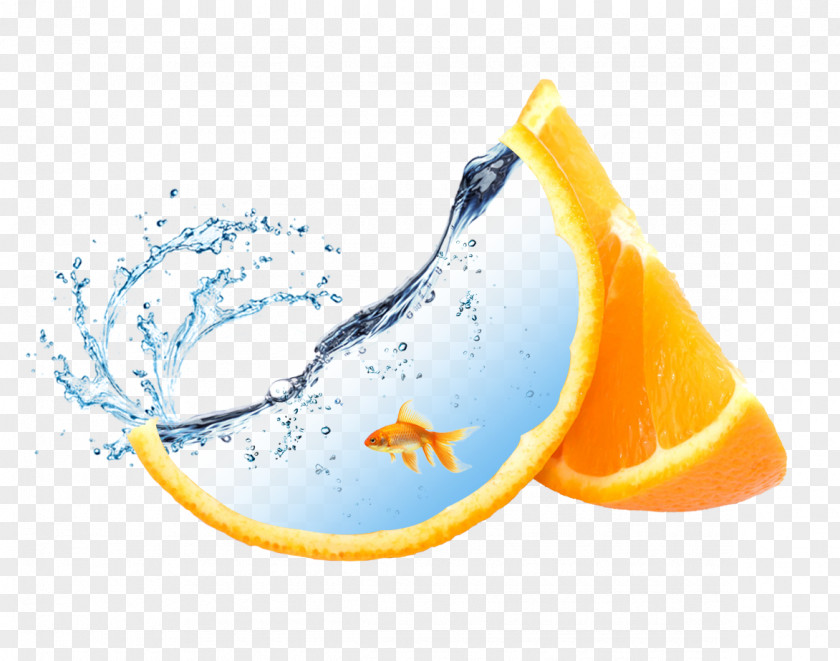 Oranges Inside The Fish Material Orange Desktop Wallpaper Fruit Auglis PNG