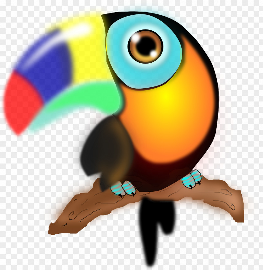 Parrot Colombia Toucan Clip Art PNG