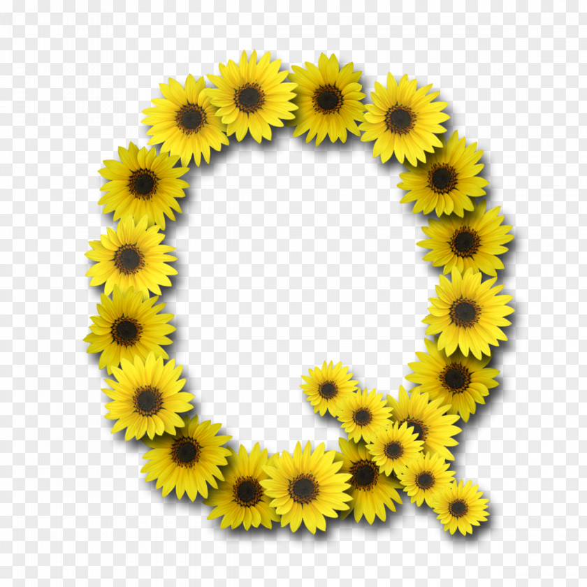 Sunflower Letter Common Alphabet PNG