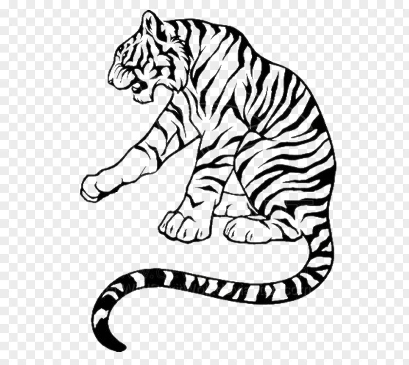 Tiger Lion Tattoo PNG