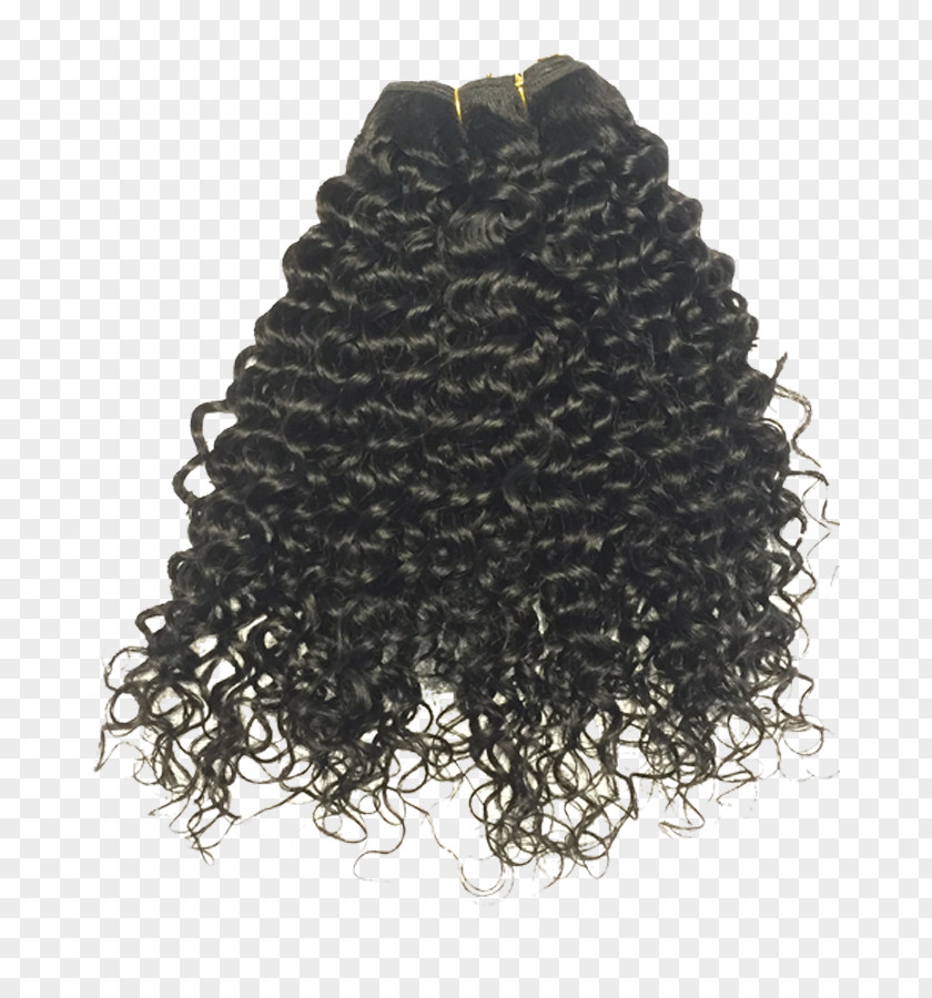 Curl Wig Homo Sapiens PNG