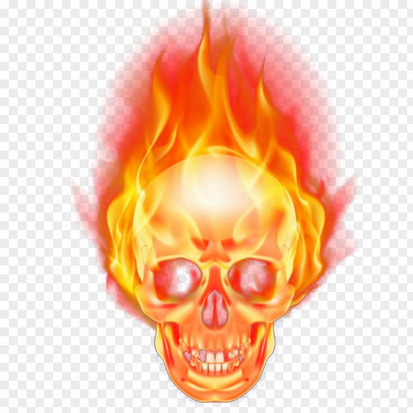 Flame Vector Graphics Skull Image PNG
