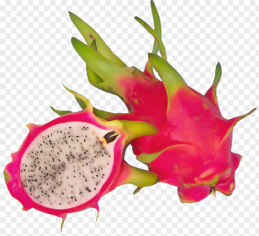 Juice Pitaya Fruit White-fleshed Pitahaya PNG